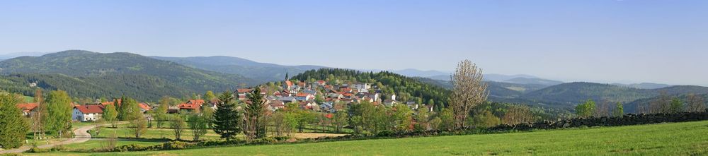 Arbeitsbühnen und Stapler in Freyung preiswert mieten