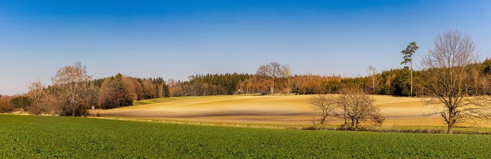 Arbeitsbühnen und Stapler in Germering preiswert mieten