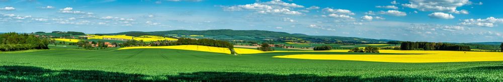 Arbeitsbühnen und Stapler in Niedersachsen preiswert mieten