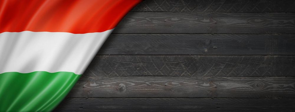 Rent work platforms and forklifts in Hungary at a reasonable price