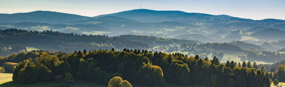 Arbeitsbühnen und Stapler in Untergriesbach preiswert mieten
