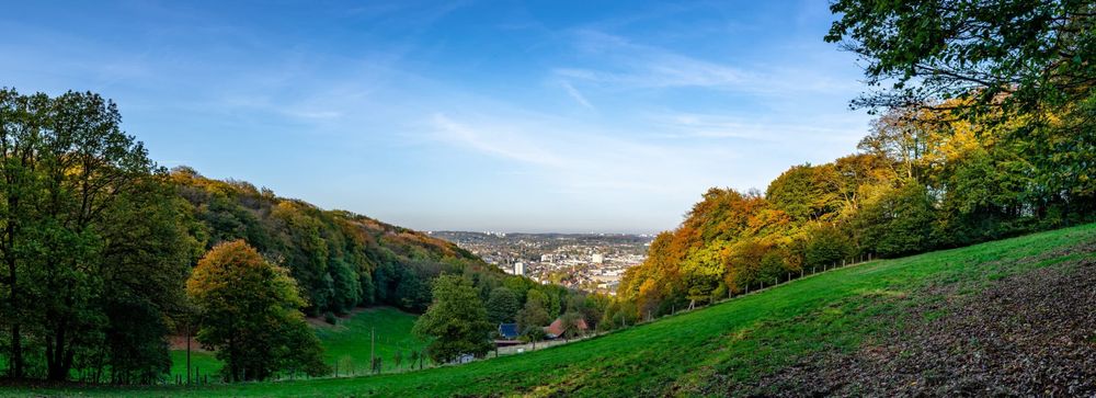 Arbeitsbühnen und Stapler in Wuppertal preiswert mieten